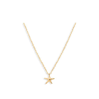 Starfish Wishes Keepsake Ornament #SO-RD-1356GD-STAR