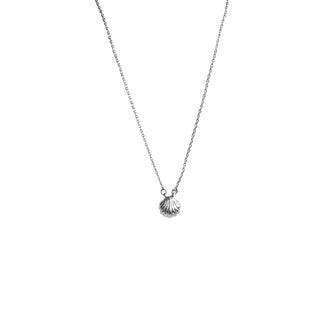 Seashell Necklace