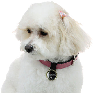 Engraved Pet Tag / Dog Tag #LEDOG-PERS - Pet Id