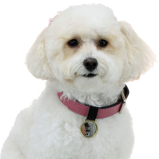 Engraved Pet Tag / Dog Tag #LEDOG-PERS - Pet Id