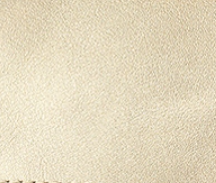 Gold Jet Setter Toiletry Bag