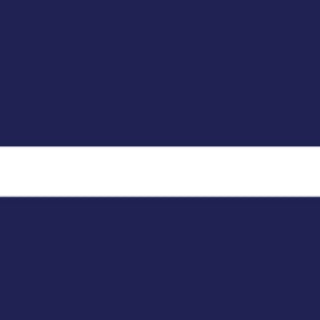 Navy Stripe Cosmetic Bag 