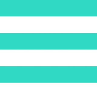 Mint Stripe Wet Bag